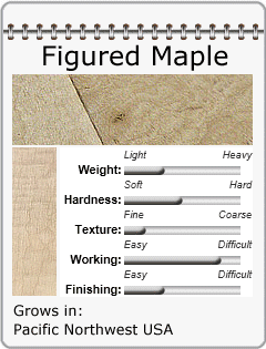 Figured Maple