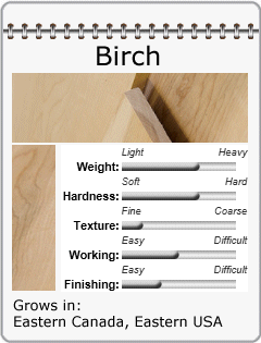 Birch