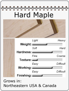 Hard Maple