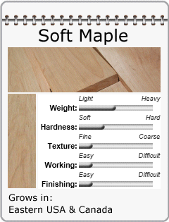 Soft Maple